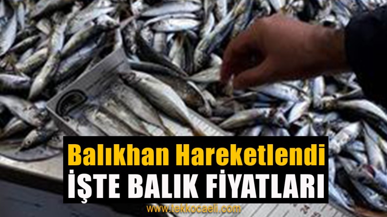 Balık Çeşitleri Attı, Balıkhan Hareketlendi