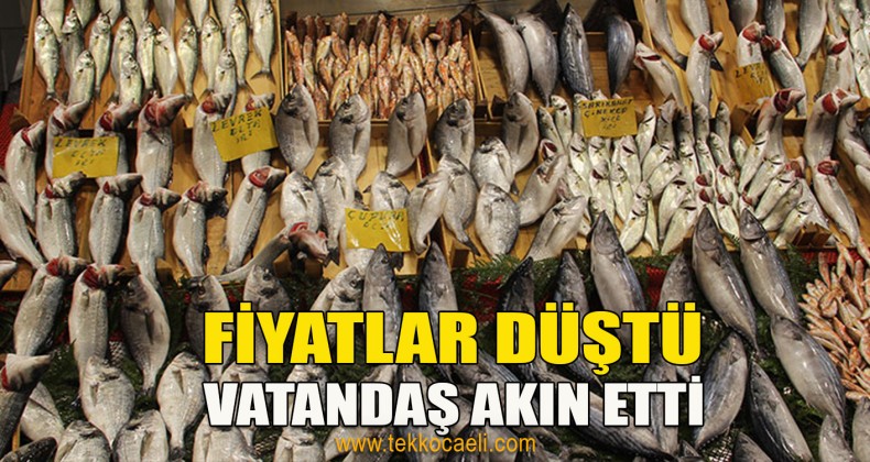 Balık Fiyatları Düşüyor