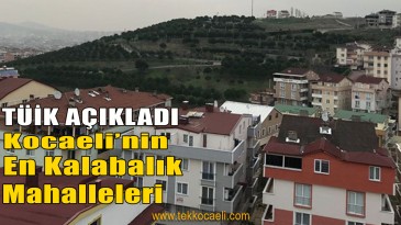 Kocaeli’nin En Kalabalık Mahallesi Belli Oldu