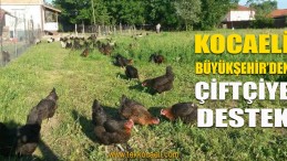 Kocaeli Büyükşehir’den Çiftçiye 800 Bin TL.lik Destek