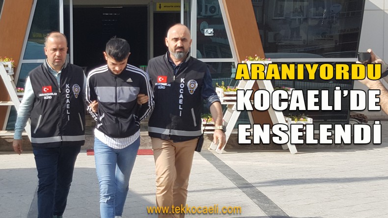 Azılı Dolandırıcı Enselendi