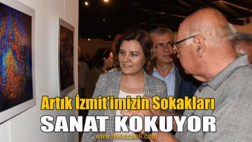 Bosna-Hersekli Fotoğrafçının Sergisi Açıldı