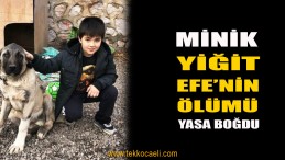 Top Oynarken Yere Yığılan Yiğit Efe, Kurtarılamadı