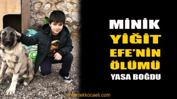 Top Oynarken Yere Yığılan Yiğit Efe, Kurtarılamadı