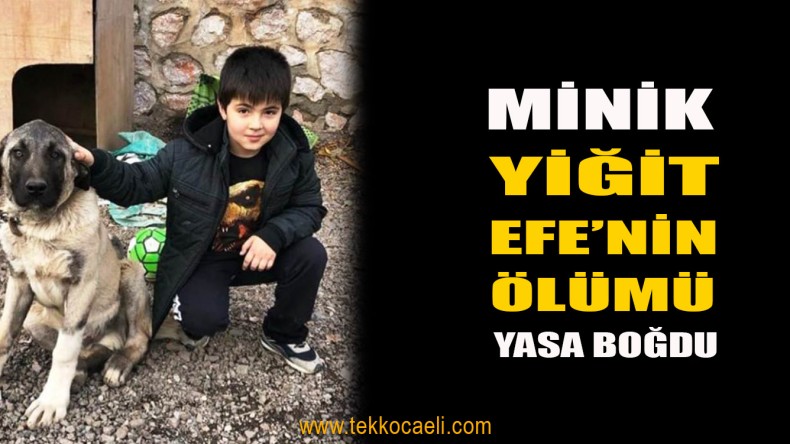 Top Oynarken Yere Yığılan Yiğit Efe, Kurtarılamadı