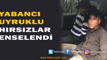 Hırsızlar Suçüstü Yakalandı