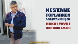 Ağaçtan Düşen Şahıs Kurtarılamadı