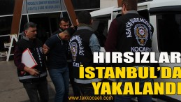 Geceyarısı Hırsızları Yakalandı