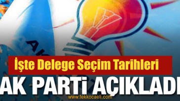 Ak Parti’de Delege Seçimleri Başlıyor