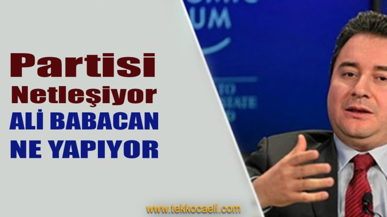 Ali Babacan Kanadında Yeni Gelişme