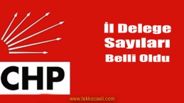 CHP’de İlçe İlçe İl Delege Sayısı Belli Oldu