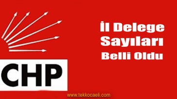 CHP’de İlçe İlçe İl Delege Sayısı Belli Oldu