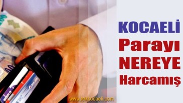 Kocaeli Parayı En Çok Nereye Harcamış!