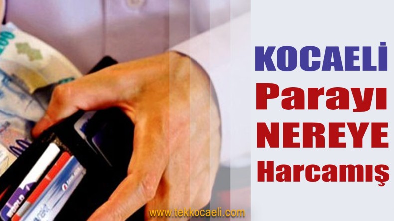 Kocaeli Parayı En Çok Nereye Harcamış!