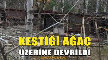 Ağaç Keserken, Ağacın Altında Kaldı