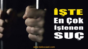 Kocaeli’de En Çok İşlenen Suç Bakın Neymiş!