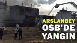 Arslanbey OSB’de Korkutan Yangın