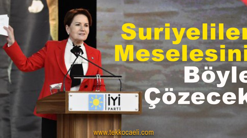 Meral Akşener, Suriyeliler Çalıştayında Konuştu