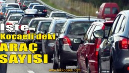 Trafiğe Kayıtlı Araç Sayısı Açıklandı