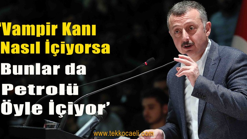 Ak Parti Darıca İlçe Danışma Meclisi Toplandı