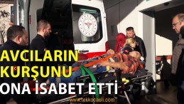 Avcıların Kurşunu İsabet Etti, Yere Yığıldı