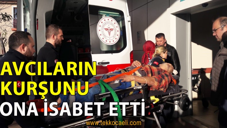 Avcıların Kurşunu İsabet Etti, Yere Yığıldı