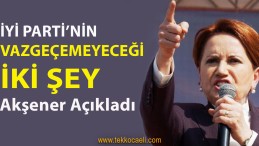 İYİ Parti’nin Vazgeçemeyeceği İki Şey