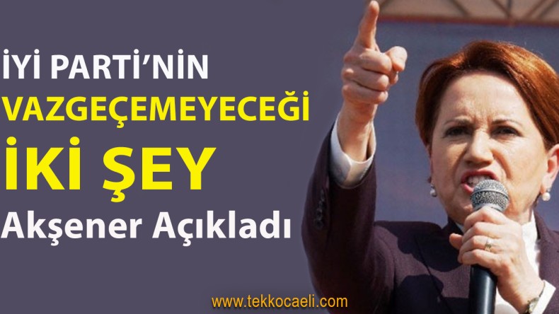 İYİ Parti’nin Vazgeçemeyeceği İki Şey
