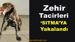 Jandarma’dan Uyuşturucu Tacirlerine Darbe