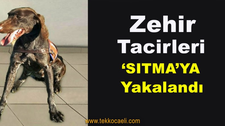 Jandarma’dan Uyuşturucu Tacirlerine Darbe