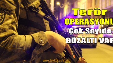 Eş Zamanlı Terör Operasyonu; Gözaltılar Var