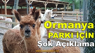 Ormanya Parkı Güvenli Değil mi?