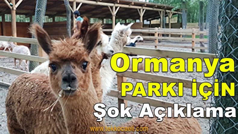 Ormanya Parkı Güvenli Değil mi?