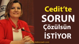 Hürriyet, Cedit Sorununu Çözmek İçin Uğraşıyor