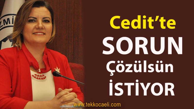 Hürriyet, Cedit Sorununu Çözmek İçin Uğraşıyor