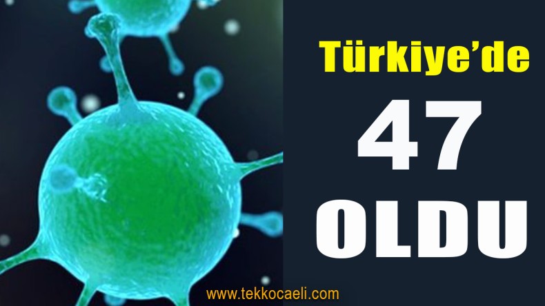 Korona Virüs Vakası Artıyor
