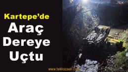 Otomobil Dereye Uçtu; Yaralılar Var