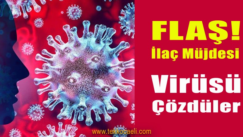 FLAŞ! Koronavirüs’ün Şifresi Çözüldü