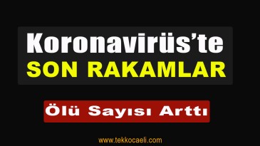 Koronavirüs Salgınında Son Durum