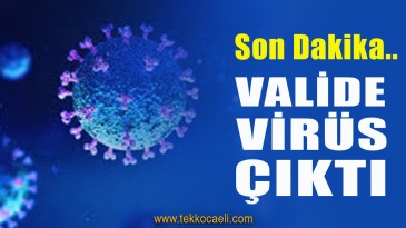 Valide Koronavirüs Çıktı