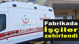 Fabrikada İşçiler Zehirlendi