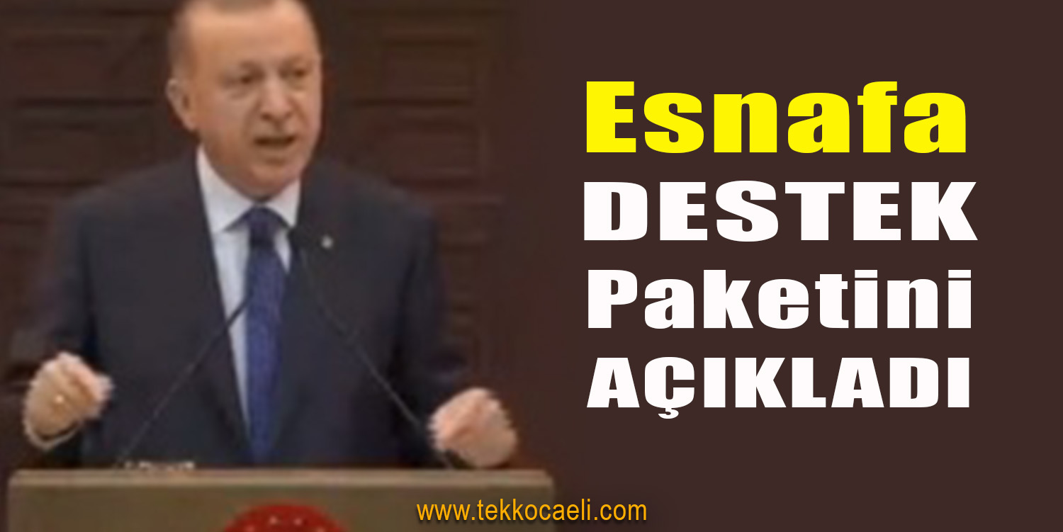 Cumhurbaşkanı Erdoğan, Ekonomi Paketini Açıkladı
