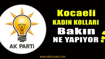 Ak Parti’li Kadınlar Böyle Çalışacak