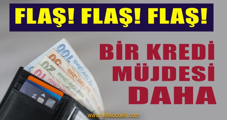 Aylık Geliri Düşük Olanlara Kredi Müjdesi
