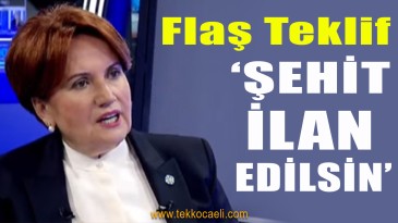 Meral Akşener’den Flaş Öneri