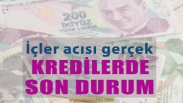 Özel Bankalar Kredi Vermiyor mu?