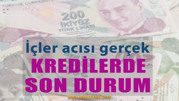 Özel Bankalar Kredi Vermiyor mu?