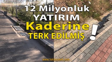 Vatandaş İsyanda; Kocaeli Büyükşehir Caddeyi Kaderine Terk Etmiş!