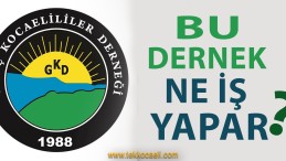 Genç Kocaelililer Derneği Ne İş Yapar?