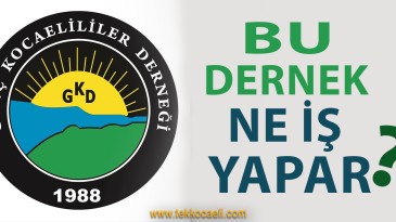 Genç Kocaelililer Derneği Ne İş Yapar?